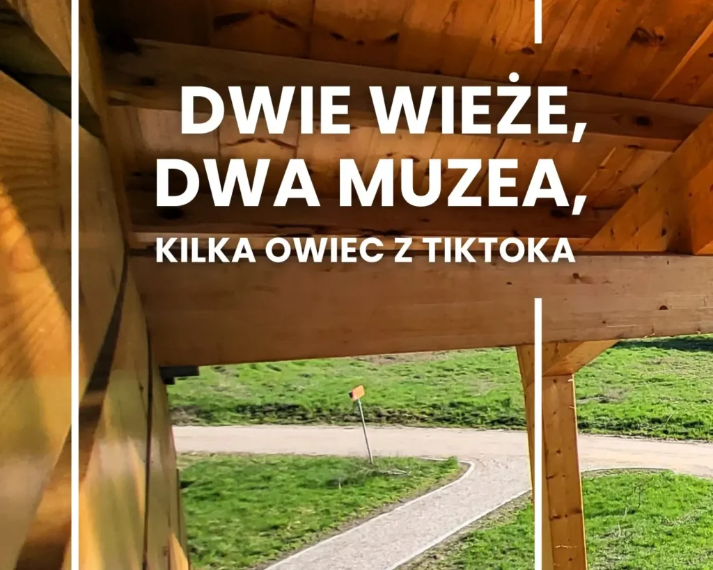 Widok z drewnianej wieży w Węgorzewie podczas rowerowej wyprawy