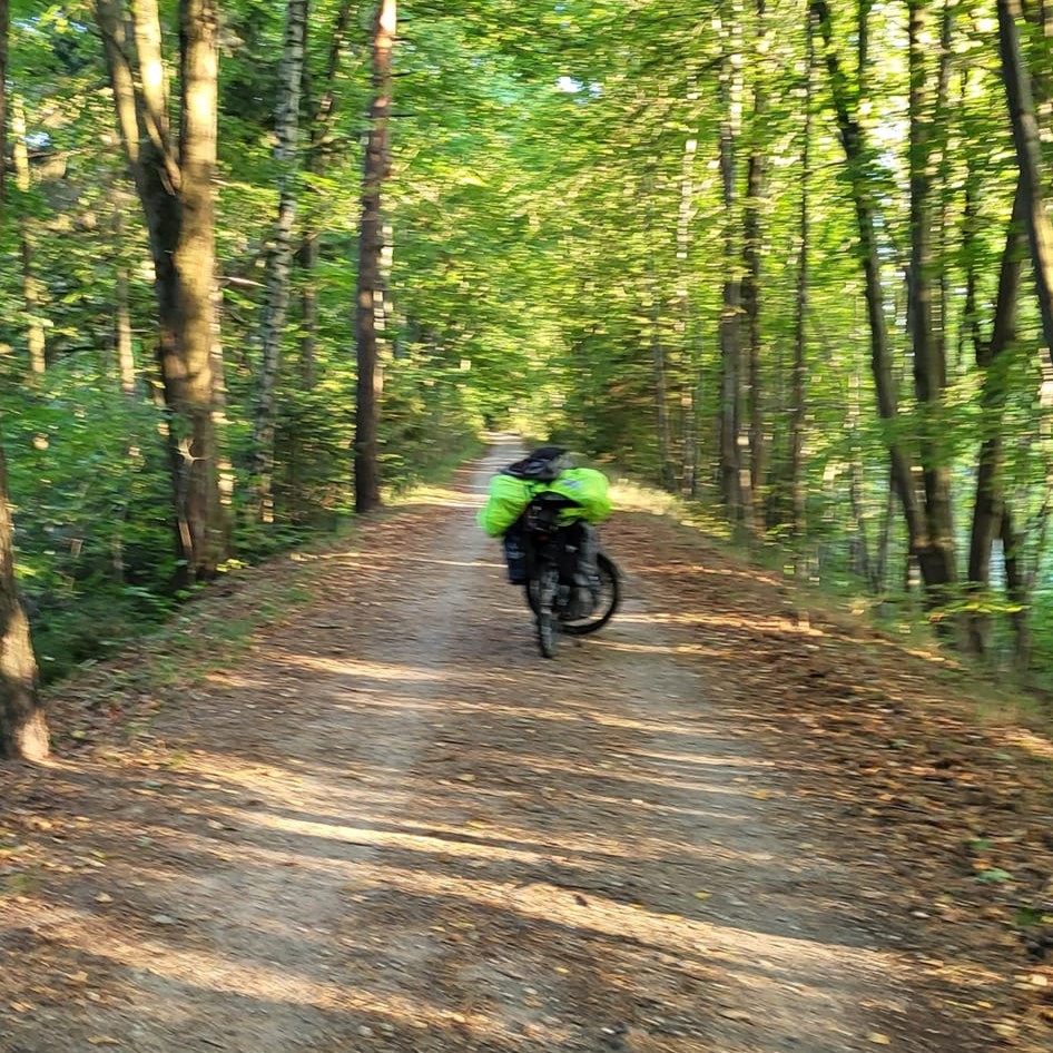 Mazurska Pętla Rowerowa 2023. Leśny odcinek trasy rowerowej między Ogonkami a Pozezdrzem na Mazurach